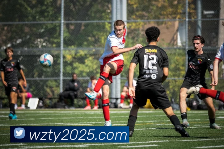 王者体育官网发展历程