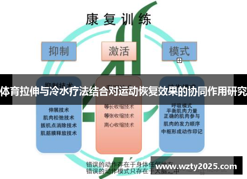 体育拉伸与冷水疗法结合对运动恢复效果的协同作用研究